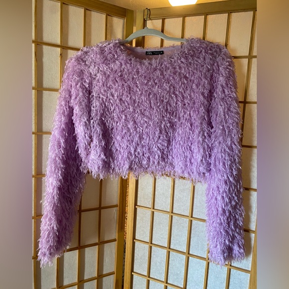 Zara feather top - Picture 2 of 9